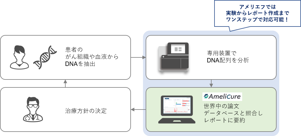 アメリエフ株式会社