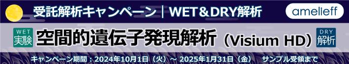 空間的遺伝子発現解析（VisiumHD）WET&DRY解析【受託解析キャンペーン】