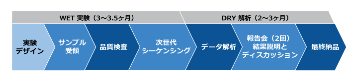 ご利用の流れ（WET＆DRY）