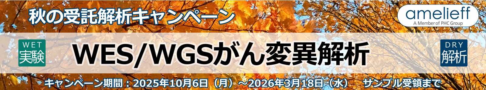 がん変異解析 WET&DRY【受託解析キャンペーン】