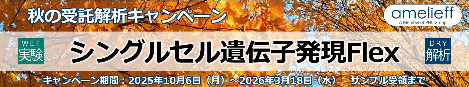 シングルセル遺伝子発現Flex WET&DRY