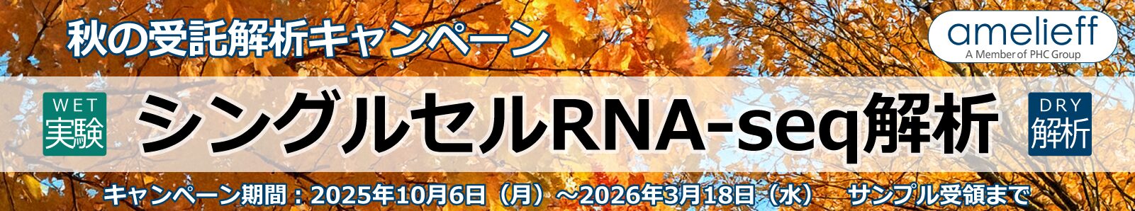 シングルセルRNA-seq解析｜WET&DRY【受託解析キャンペーン】