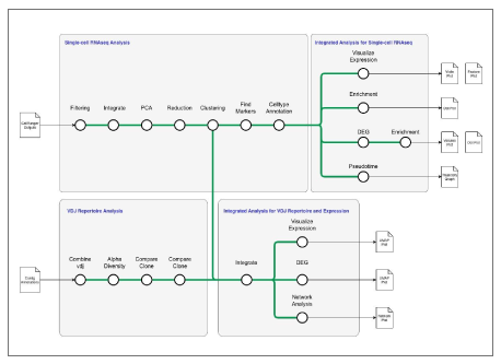 解析フロー設計例